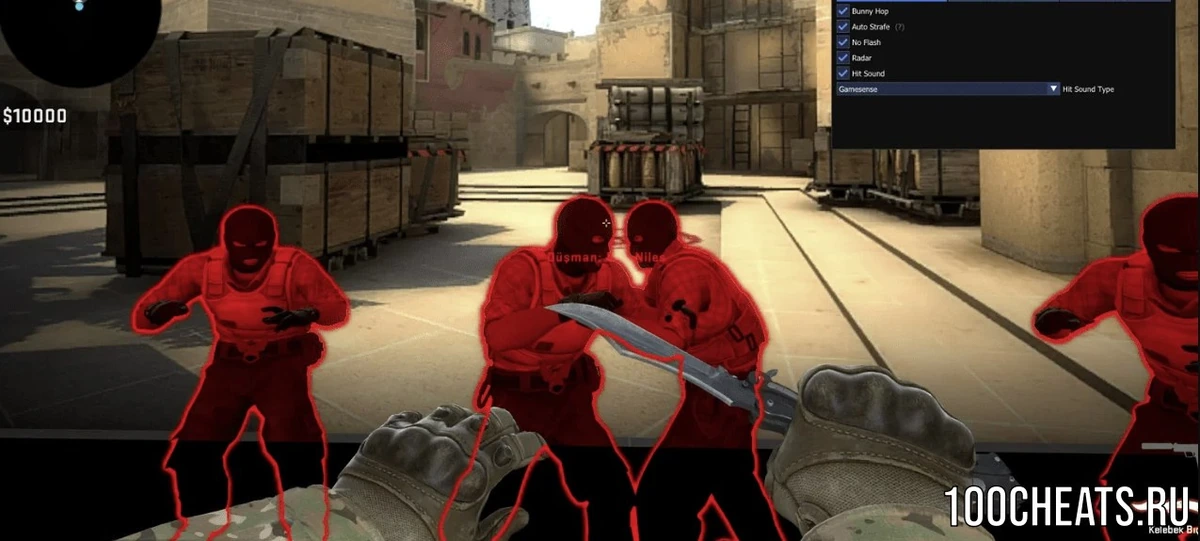Чит DangerZone Eris External для CSGO — изображение 1