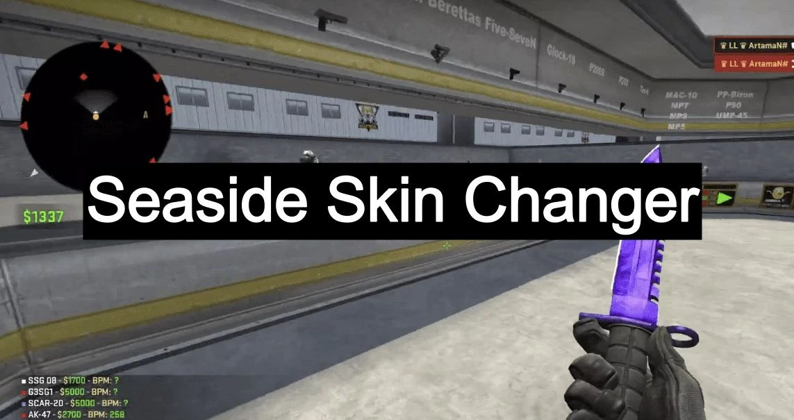 Seaside Skin Changer для CS:GO (Много настроек) Бесплатный