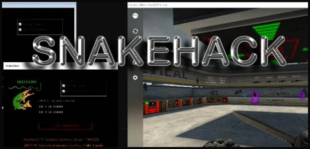 SNAKEHACK — Простой ESP чит на CS:GO