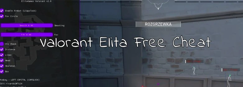 Бесплатный чит Valorant Elita (Aim + ESP)