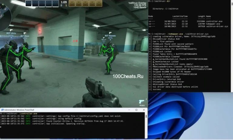 Чит Valthrun CS2 (ESP + Triggerbot) Бесплатный